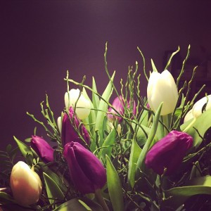 Small gestures, big happiness... To the one that deserves it!