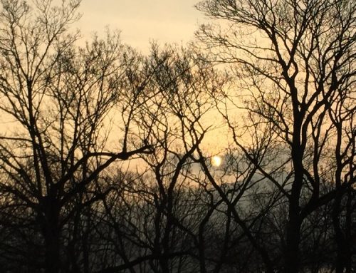 Amazing start of the day